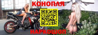сатива Малгобек