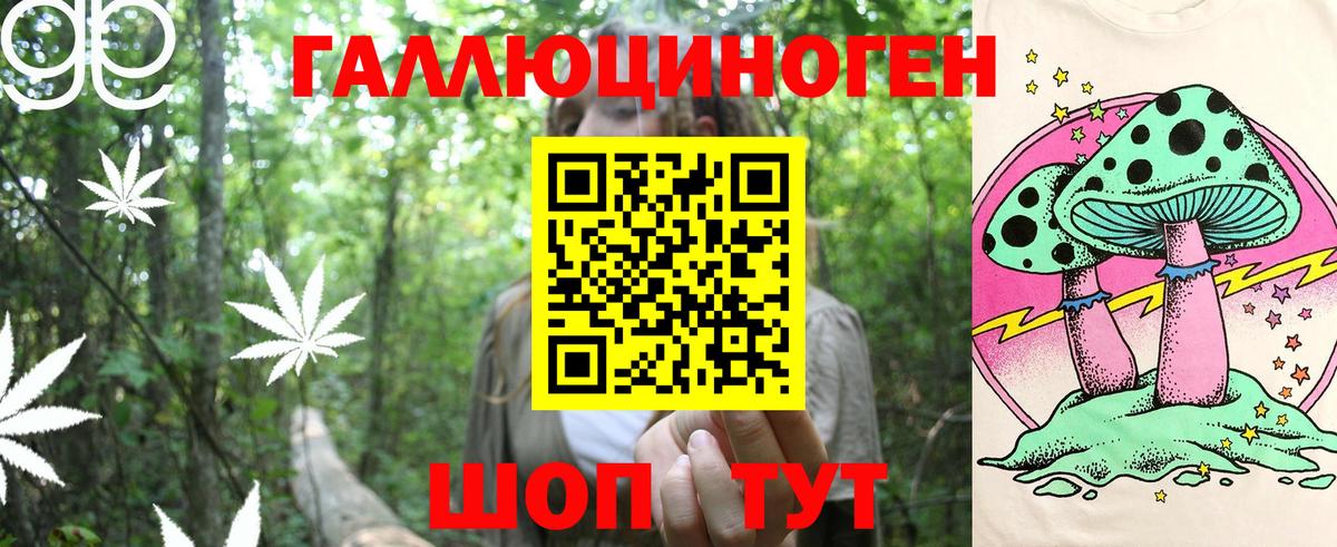 Галлюциногенные грибы прущие грибы Городец