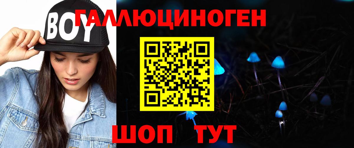 Галлюциногенные грибы MAGIC MUSHROOMS  Вход с VPN  Городец 